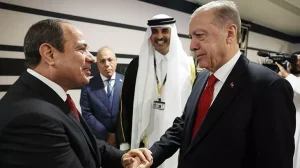 erdogan-gorusme