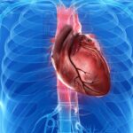 kalp-kanser-kalpnedenkanserolmaz