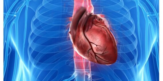 Kanserin birçok çeşidi varken, neden hiç kimse kalp kanseri olmaz